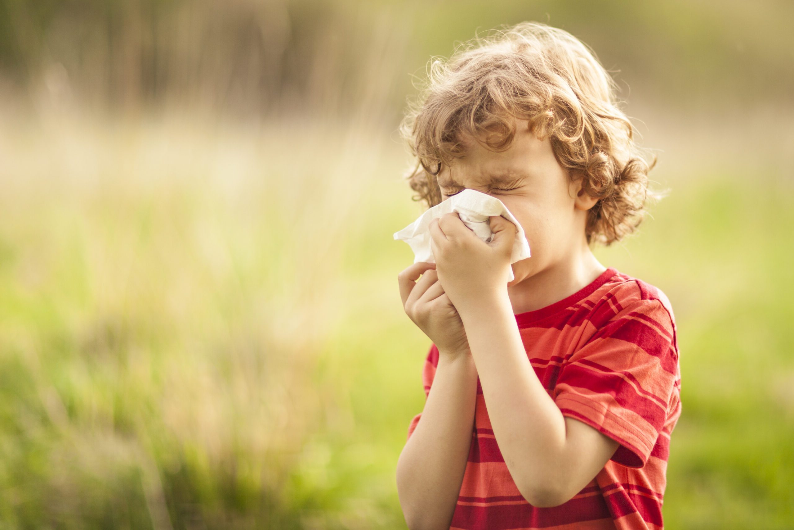 Little blond boy sneezing due to allergy related problems, on a sunny day outdoors. He is holding a handkerchief in his hands, looking away. Copy space available.